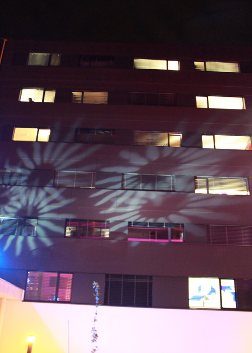 decoration facade exterieur batiment contemporain bardage