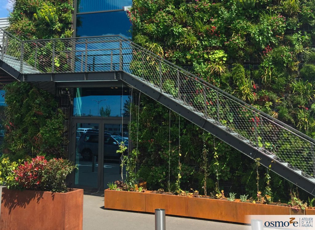 Le Leclerc de Sarrebourg (57) fait appel à Osmoze pour décorer sa future salle de dégustation de vin 11 IMG 1451