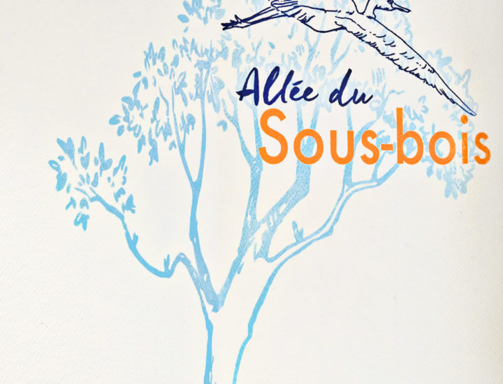 Décoration murale Ehpad Chateauroux > Sous bois Osmoze > Décoration murale Ehpad > Ehpad Chateauroux > Sous bois