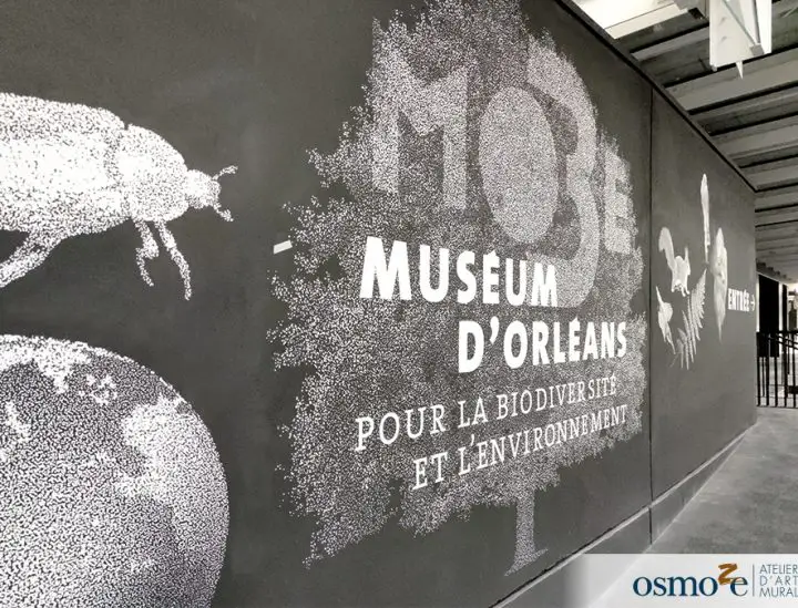 Signalétique artistique - Musée d'Orléans - Osmoze