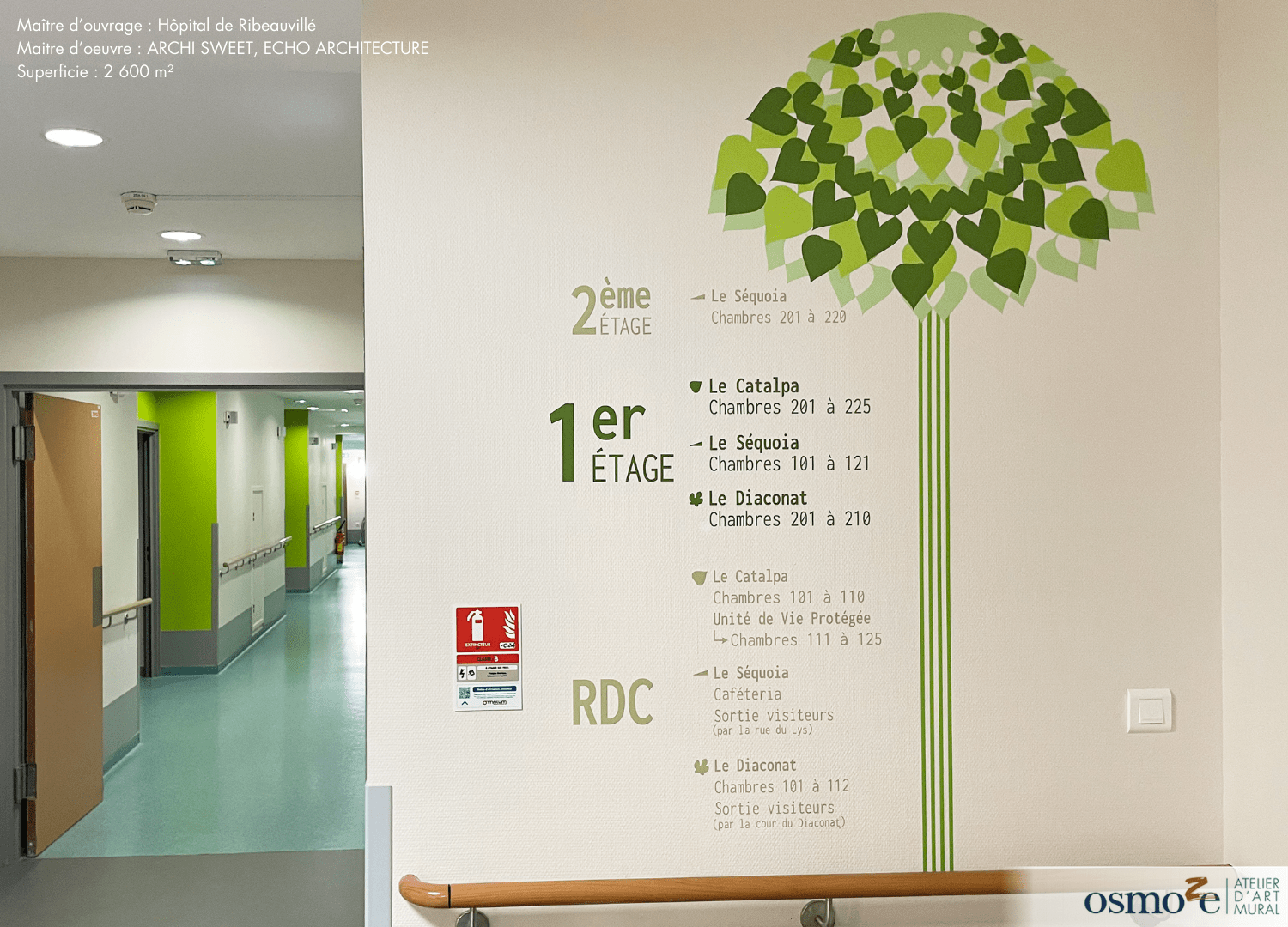 Les fresques murales d’Osmoze embellissent l’EHPAD de Ribeauvillé (67)